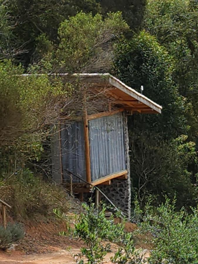 Tiny Houses O Olival - Aluguel Temporada Cunha Εξωτερικό φωτογραφία