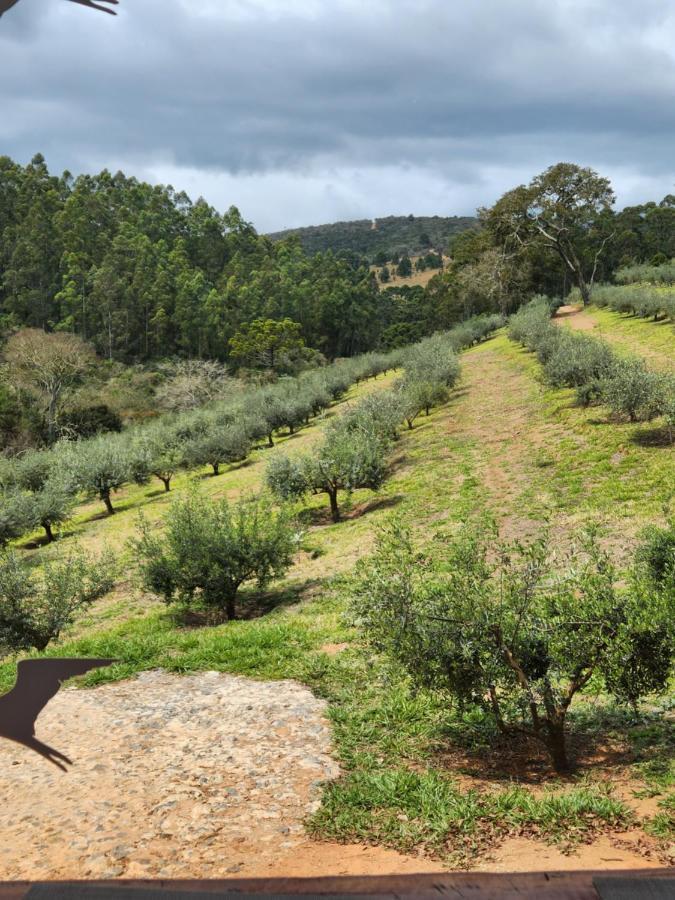 Tiny Houses O Olival - Aluguel Temporada Cunha Εξωτερικό φωτογραφία